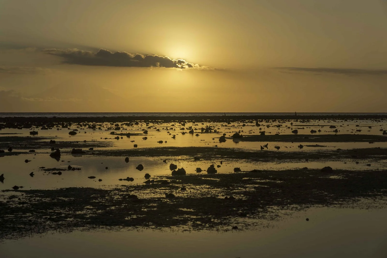 gili