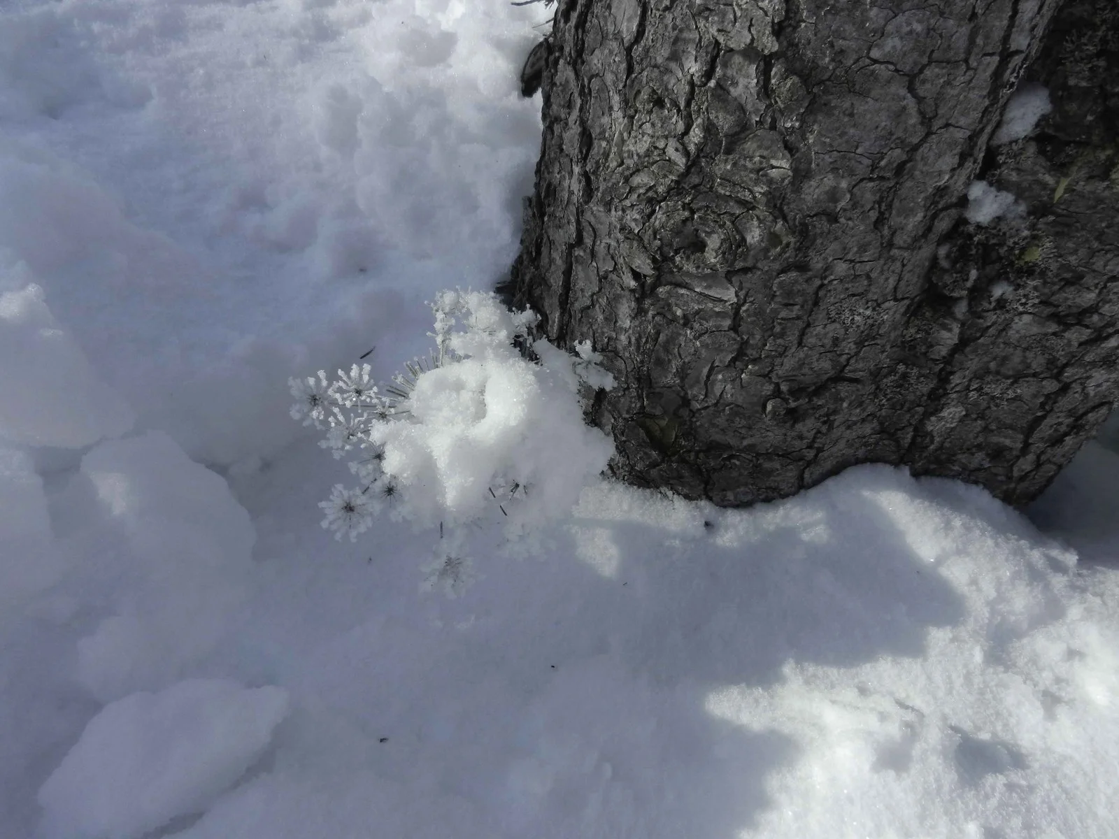 Rochers de la balme