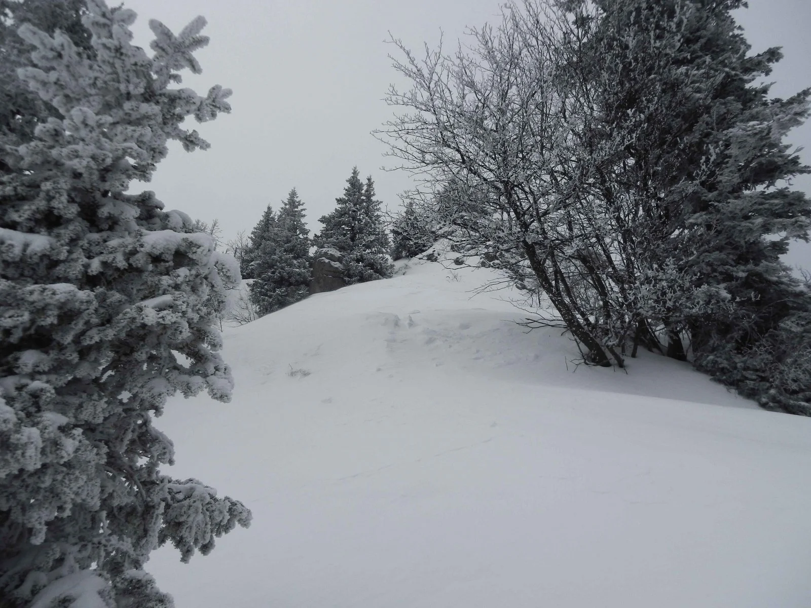 Chamechaude