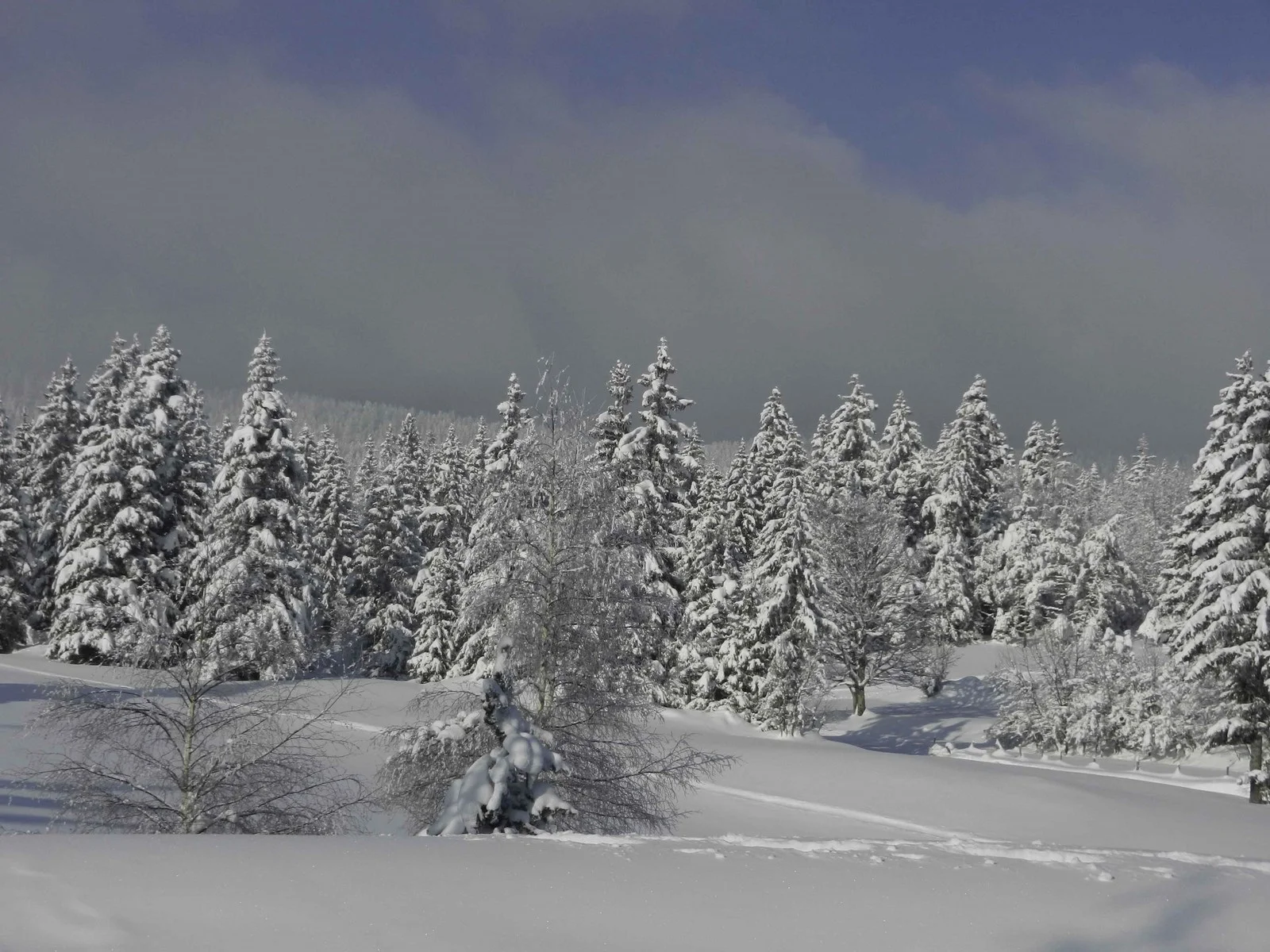 Rochers de la Balme