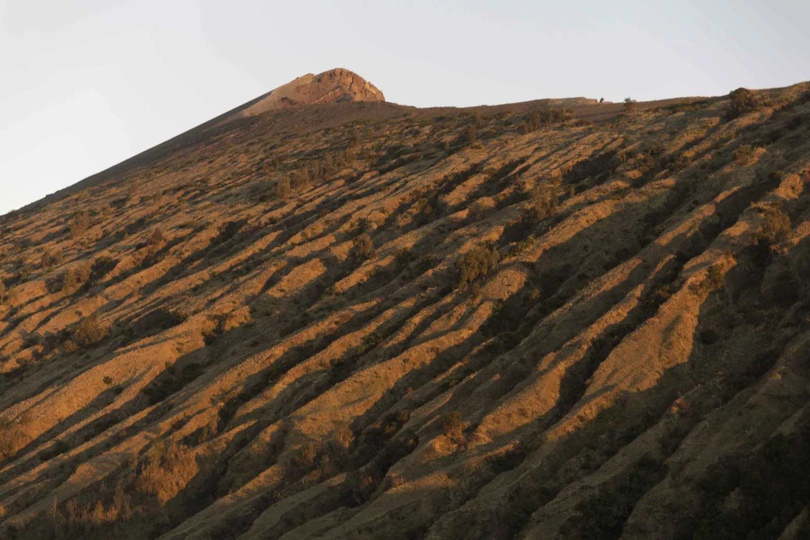 Rinjani